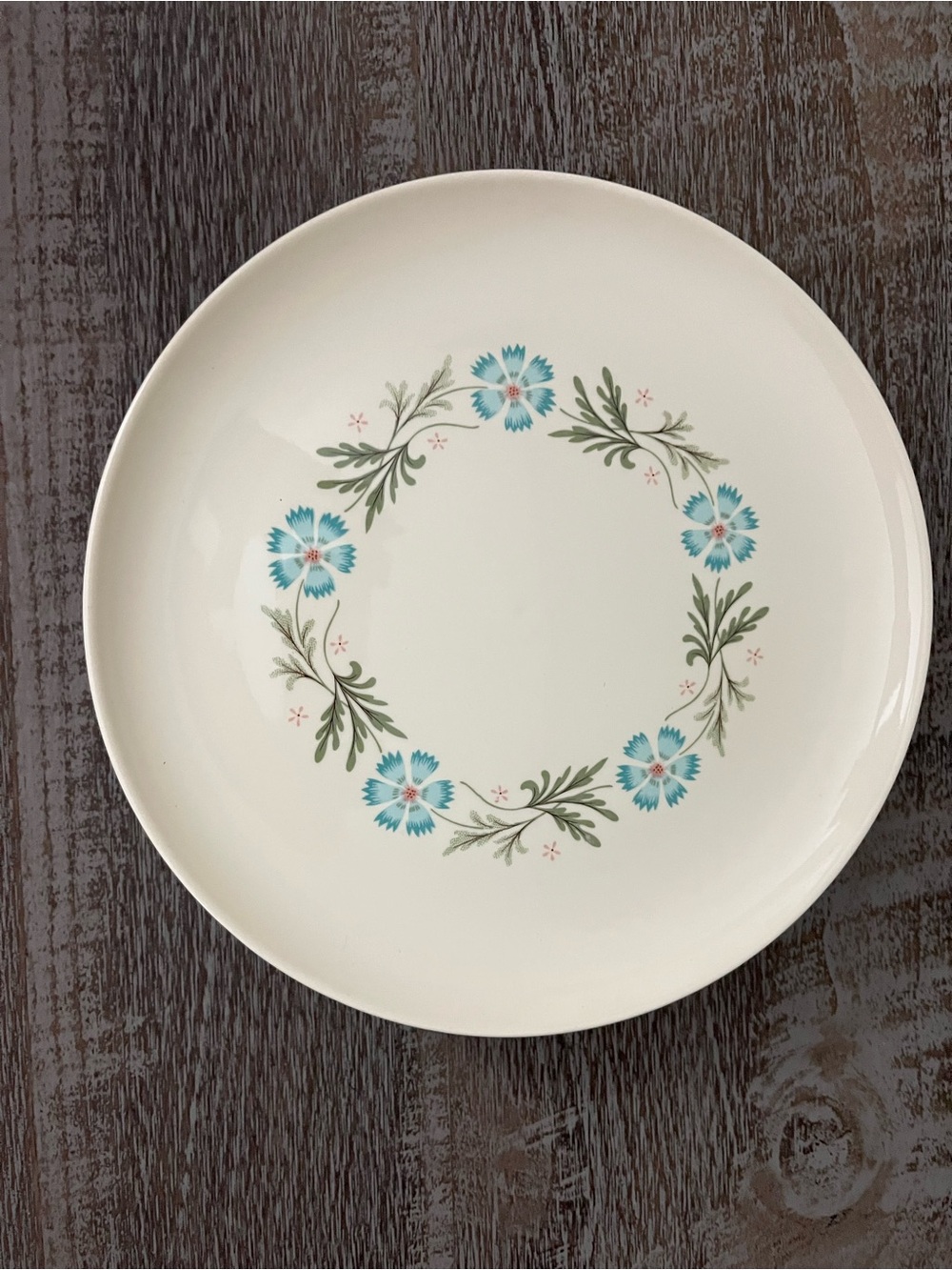 Vintage Taylor Smith & Taylor “Bridal Wreath” dinner plates set of four